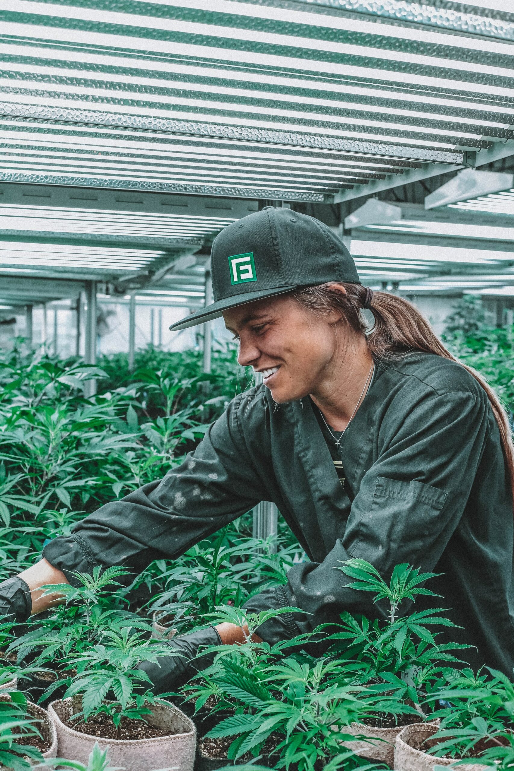 Here’s How to Become a Grower for a Marijuana Dispensary