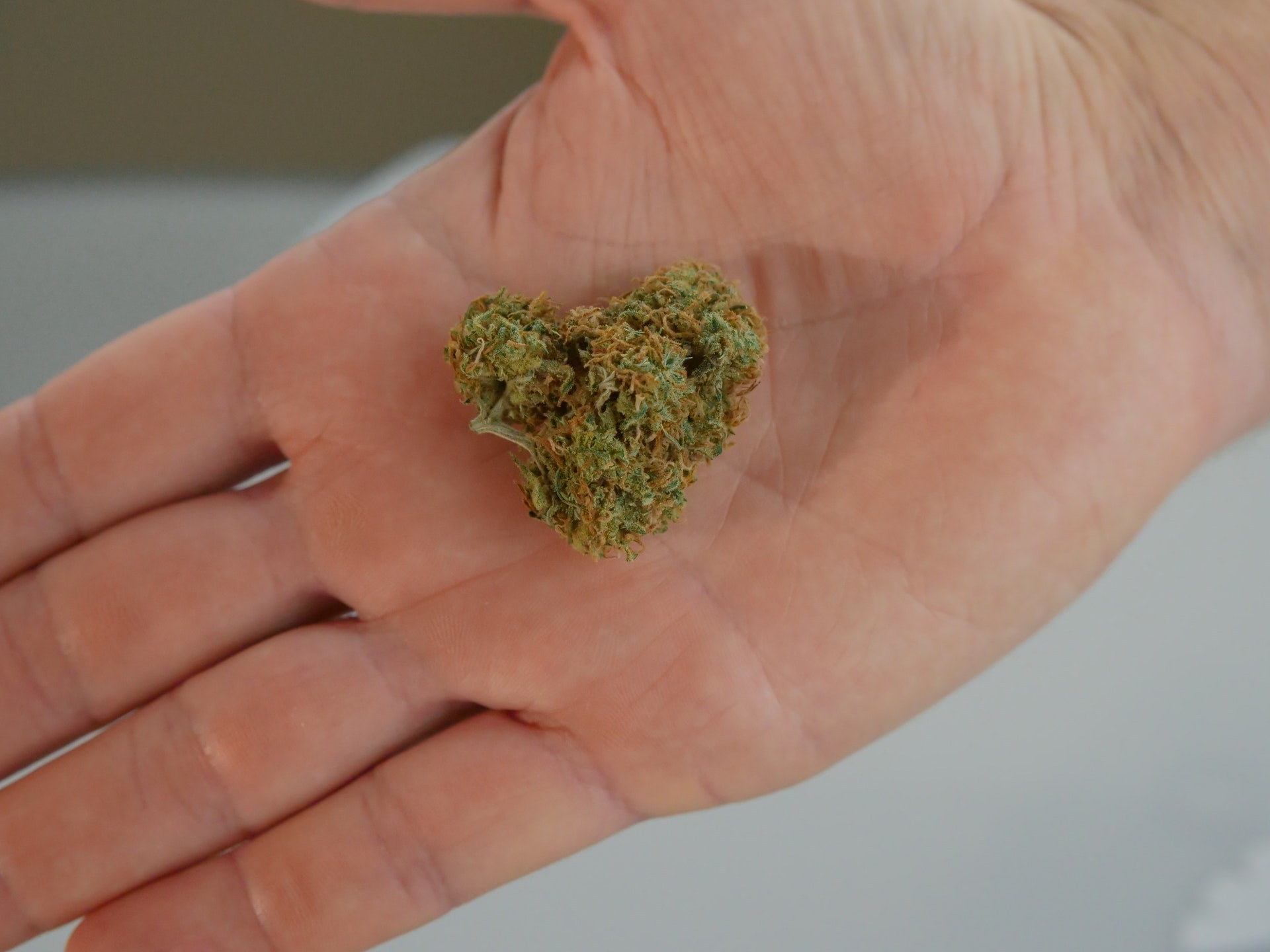 How Many Grams is in a Pound of Weed?