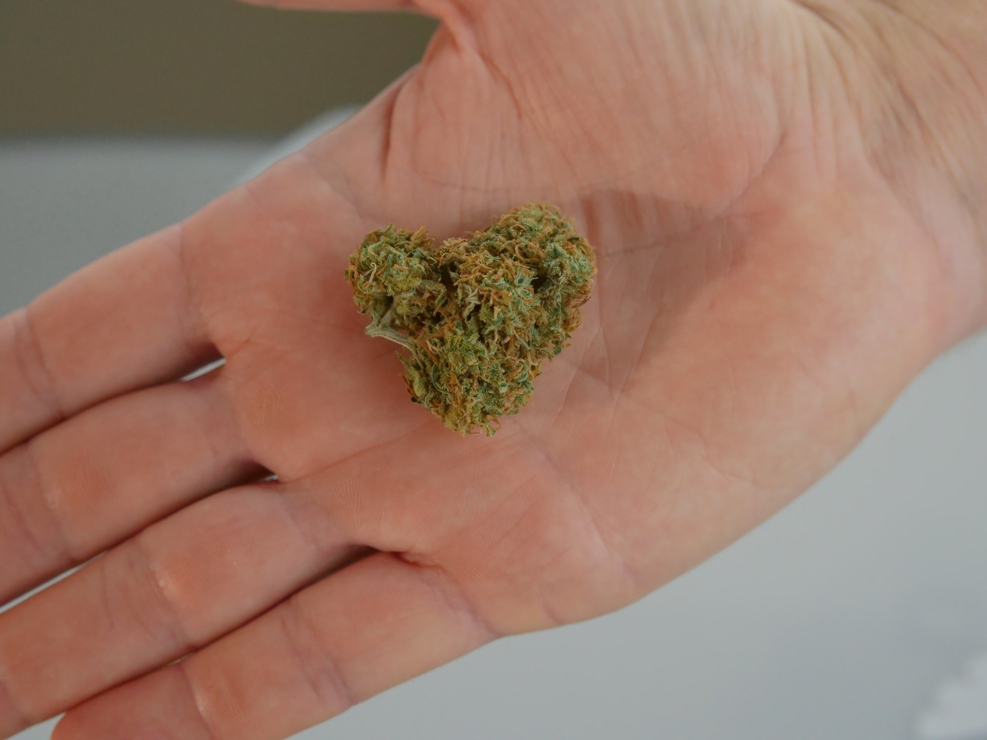 How Many Grams Are In An Ounce of Cannabis?