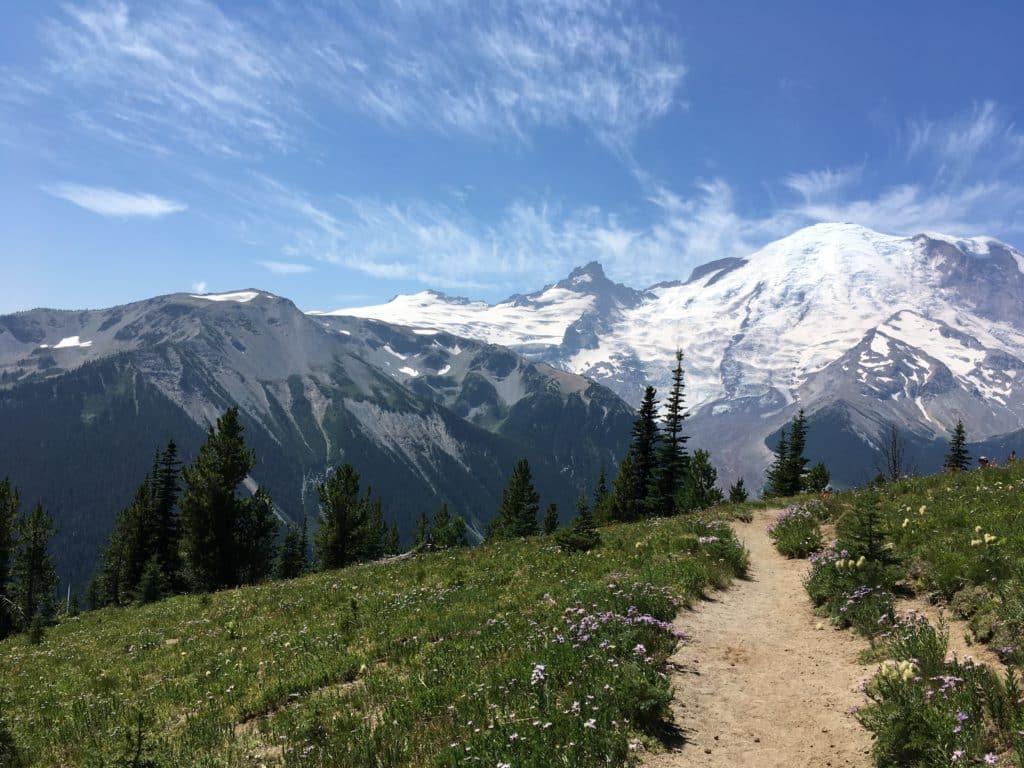 Hidden Parks, Beaches, and Rivers in Washington State!