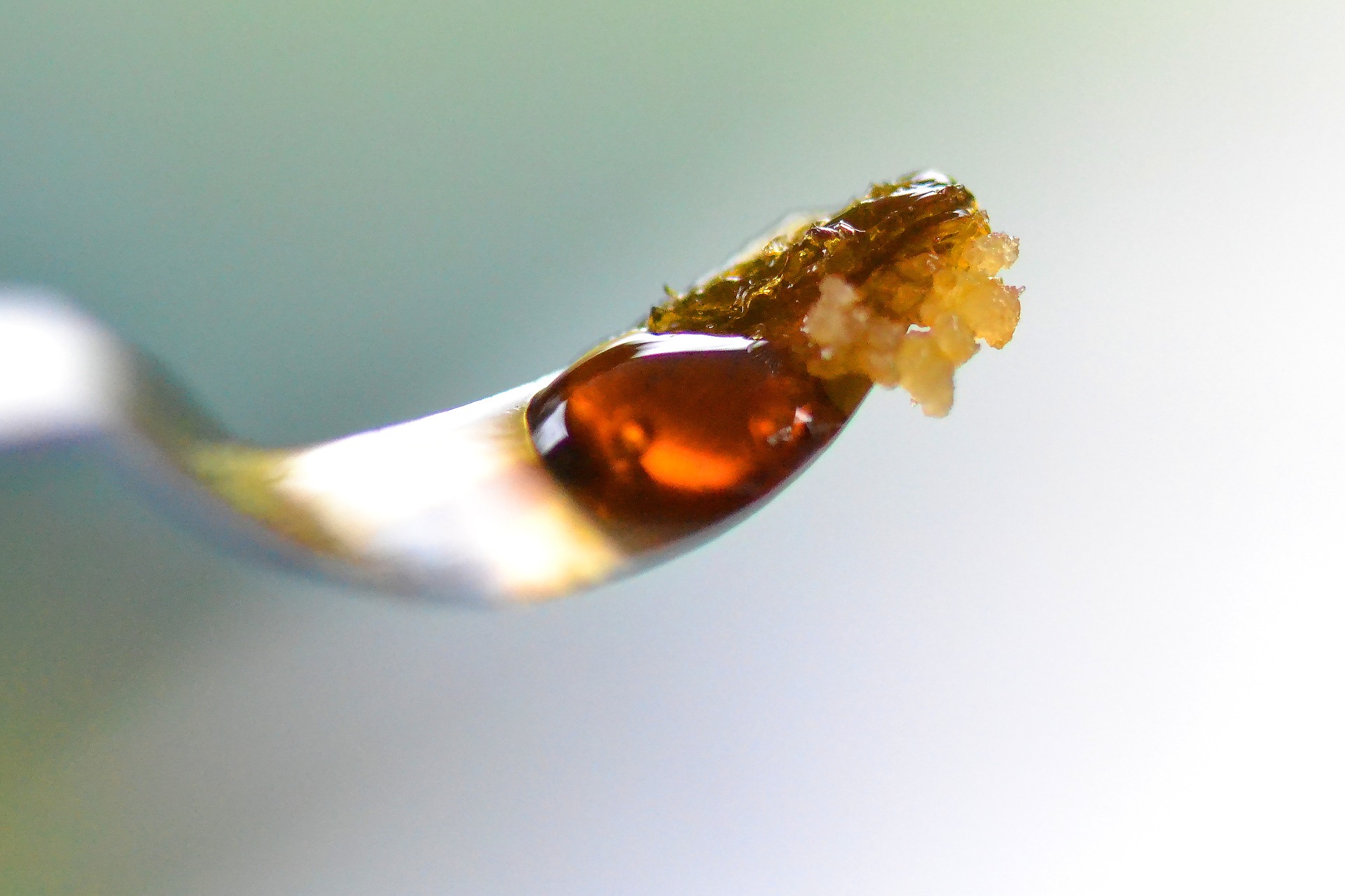 Do Dabs Smell? Here's What You Should Know  Spokane's Favorite  Recreational Dispensary