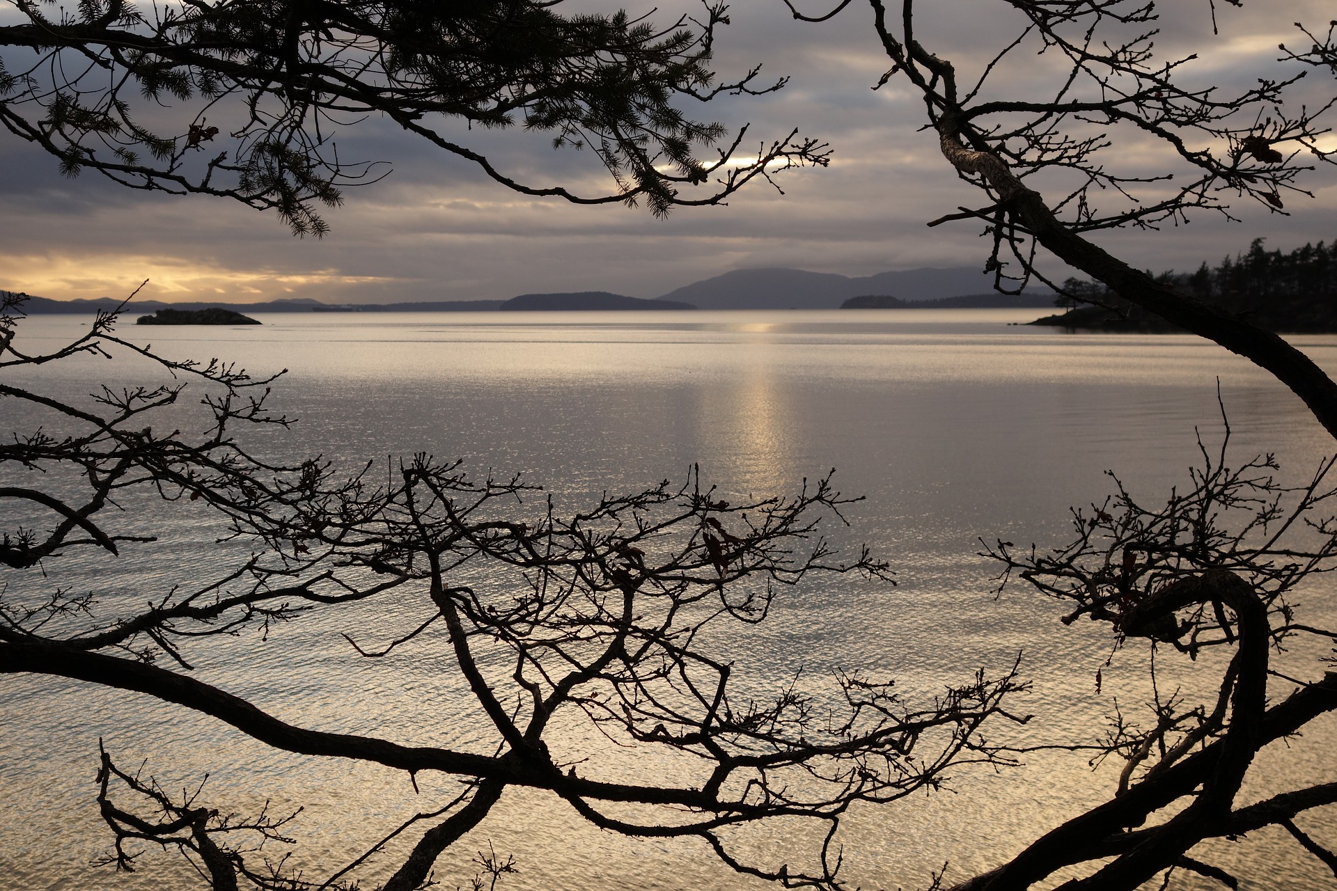 Our Guide to Exploring Scenic Chuckanut Drive