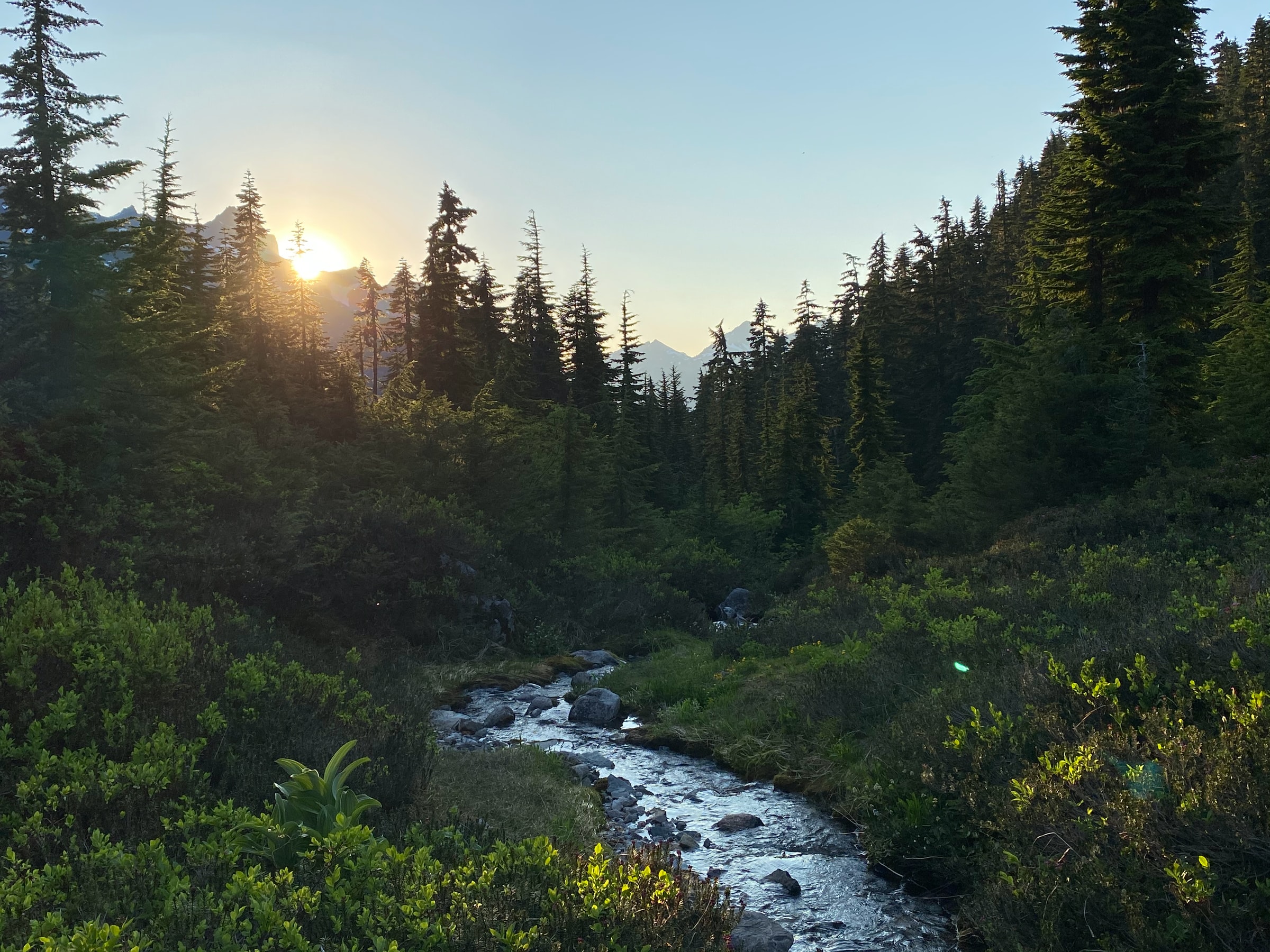 6 Best Bellingham Spring Nature Walks