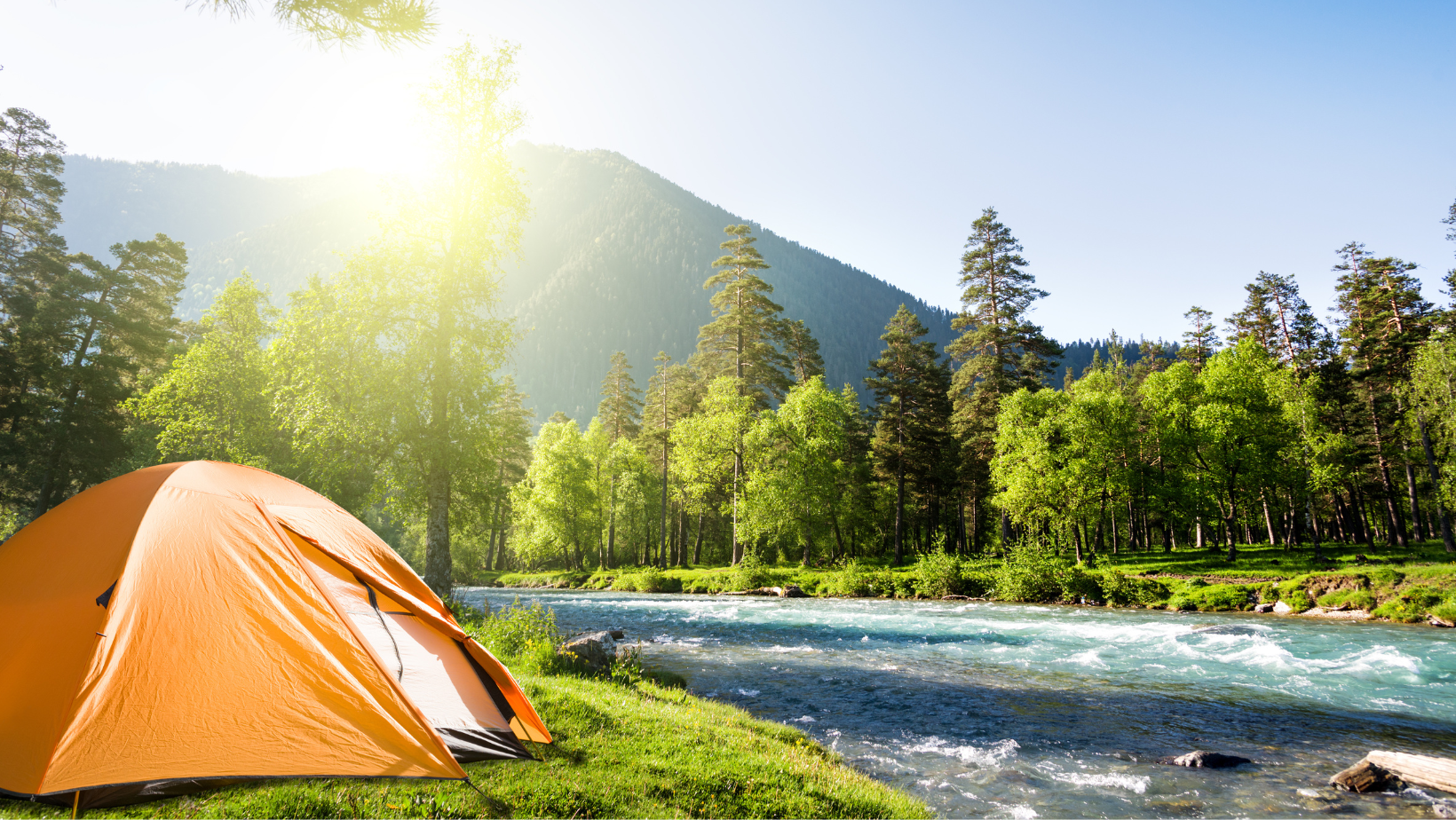 The Ultimate Guide to Camping with Cannabis