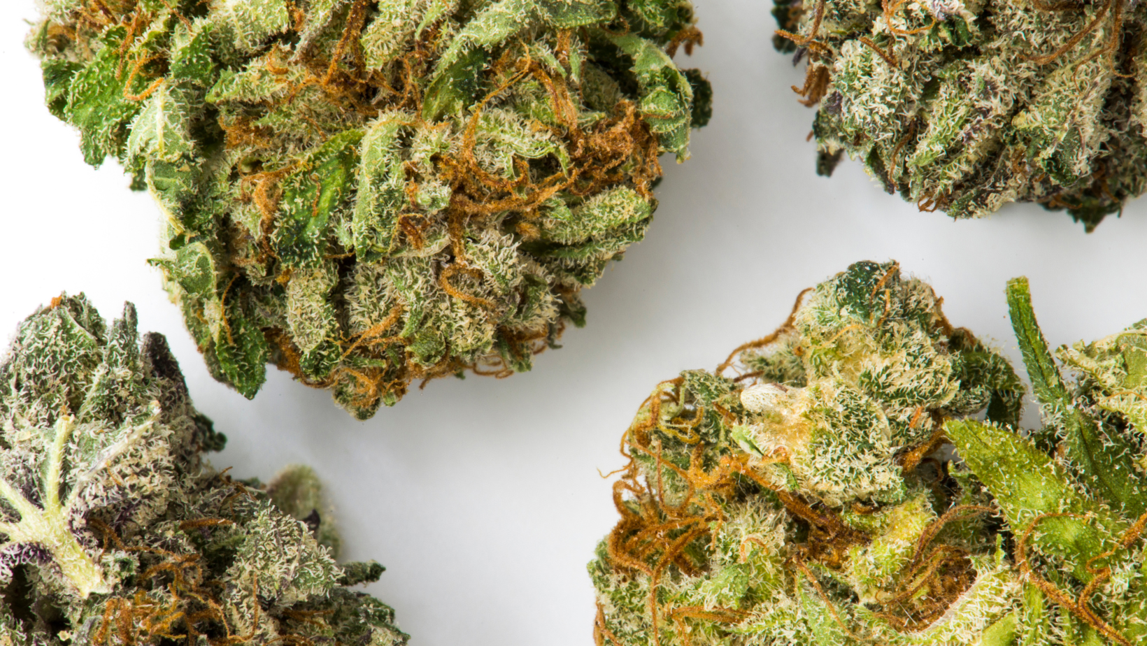 How Do Cannabis Strains Get Their Names? 